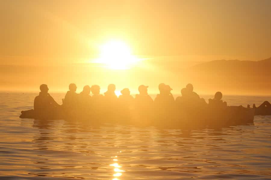 Kaikōura: Kayak Sunset Tour with Seal Sightings - Why hands-free pedal kayaks change the whole sunset experience