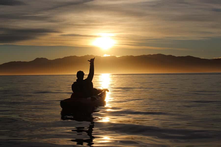 Kaikōura: Kayak Sunset Tour with Seal Sightings - Price and value: is $83 worth it?