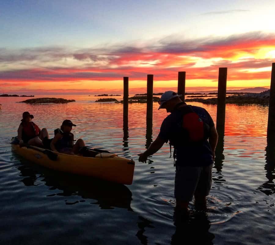 Kaikōura: Kayak Sunset Tour with Seal Sightings - Who should book this sunset seal kayak tour?