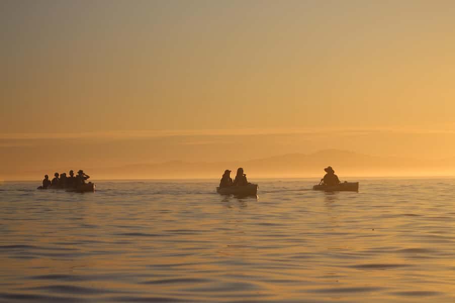 Kaikōura: Kayak Sunset Tour with Seal Sightings - The safety briefing is short, but not skippable