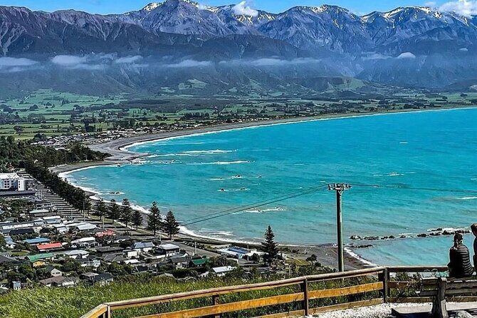 Kaikoura Private Whale Watching Day Trip from Christchurch - Kaikoura’s Marine-Watching Magic: Seals, Dolphins, and Sperm Whales