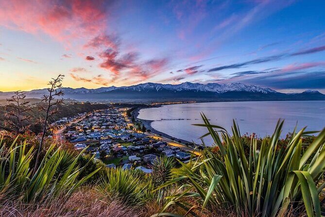 Kaikoura Private Whale Watching Day Trip from Christchurch - Kahutara River Walk: Forest Time Between Ocean Moments
