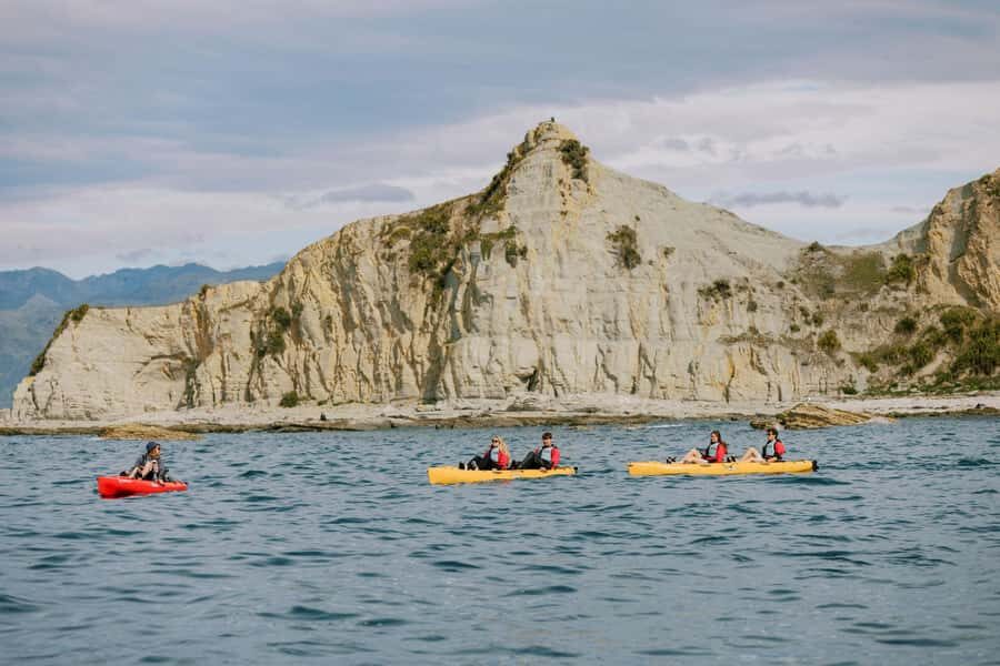 Kaikoura: Seal-Watching Pedal Kayak Tour - Who should book this tour