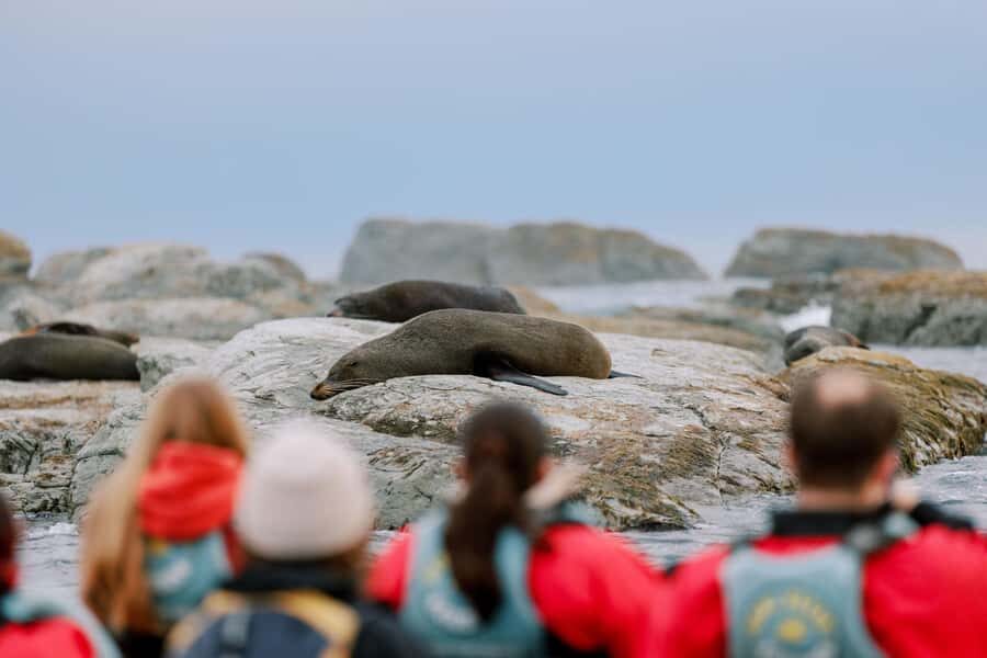 Kaikoura: Seal-Watching Pedal Kayak Tour - Mountain views and coastline time: why the scenic parts aren’t filler