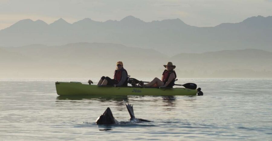 Kaikoura: Seal-Watching Pedal Kayak Tour - The return: short ride back to Beach Road
