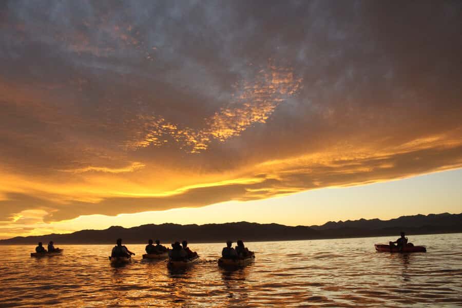 Kaikoura: Seal-Watching Pedal Kayak Tour - Price and value: is $83 per person a fair deal?