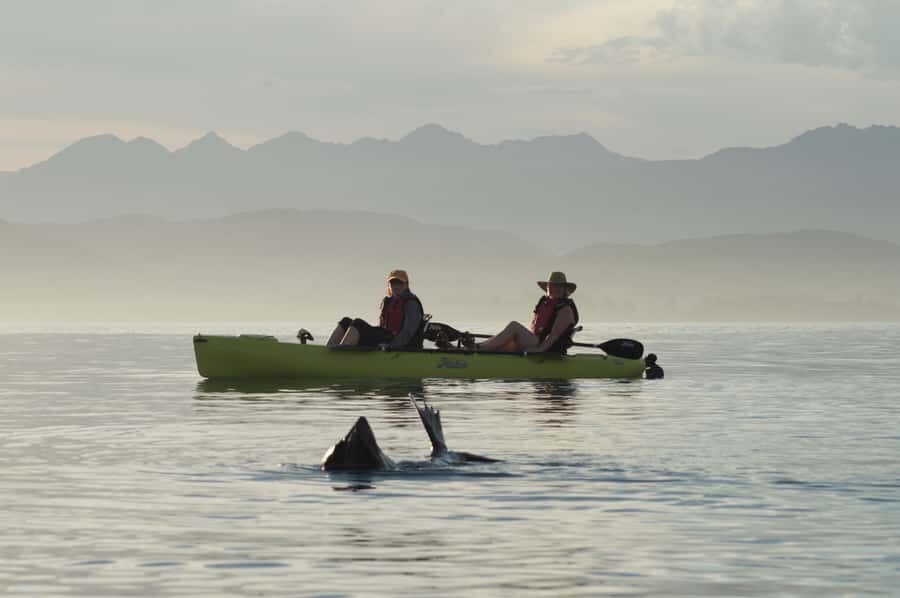 Kaikoura: Seal-Watching Pedal Kayak Tour - Getting started at 18 Beach Road (and how to set yourself up)