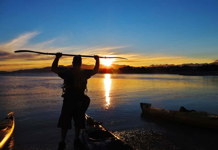 Kaikoura: Sunset Evening Kayaking Tour - Wildlife Beyond Seals: Penguins, Albatross, and Dolphins (Luck-Based)