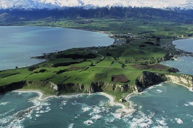Kaikoura Swim with Dolphins Tour from Christchurch - A long ride north that’s part of the payoff