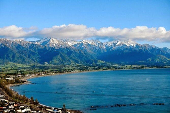 Kaikoura Swim with Dolphins Tour from Christchurch - The dolphin swim rules: warm gear, but real open-ocean swimming