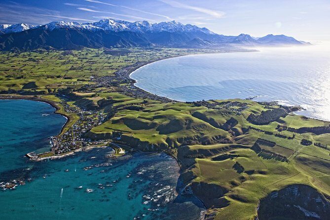 Kaikoura Whale Watch Day Tour from Christchurch - Key highlights at a glance