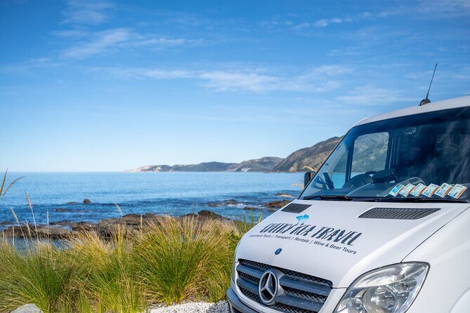 Kaikoura Whale Watch Tour from Christchurch - Small Group - Christchurch to Kaikōura in a Mercedes Sprinter (WiFi and real timing)