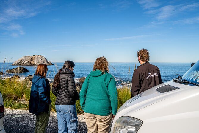 Kaikoura Whale Watch Tour from Christchurch - Small Group - When the weather fights back: how the day stays meaningful