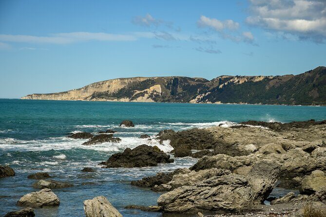 Kaikoura Whale Watch Tour from Christchurch - Small Group - Waipara Hills wine stop: a nice add-on, not the main event