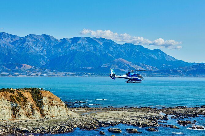 Kaikōura Whale Watching - 1hr 20min Ultimate Adventure - Key Points Worth Knowing Before You Go