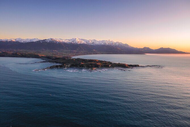 Kaikōura Whale Watching - 1hr 20min Ultimate Adventure - Wildlife Chances: How to Think About Sightings Without Getting Burned