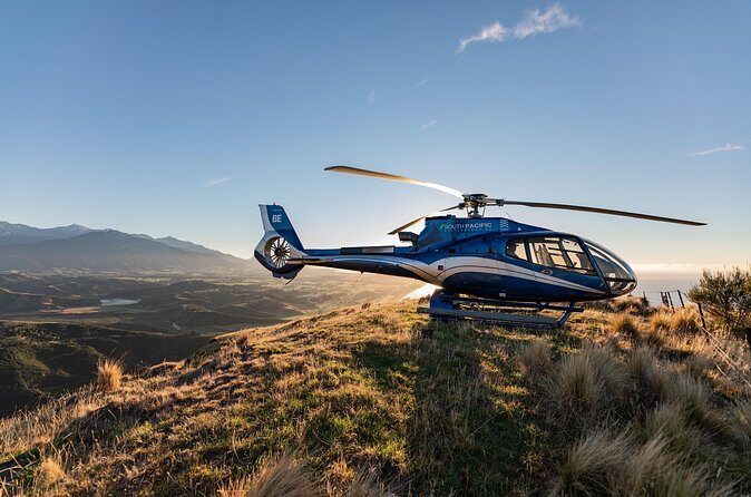 Kaikoura Whale Watching - 45 Minute Ocean Safari - Price and value: is $511.97 per person worth it?