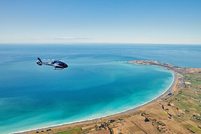 Kaikōura Whale Watching and Scenic Landing - 1hr Premier Tour - Who This Tour Fits Best (and Who Might Hesitate)