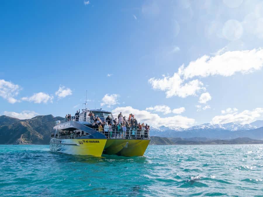 Kaikoura: Whale Watching Cruise - The Catamaran Setup: Comfort, Low Noise, and Practical Deck Space
