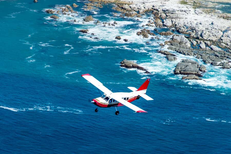 Kaikoura: Whale Watching Flight with Commentary - Photos from the air: the guaranteed window seat advantage