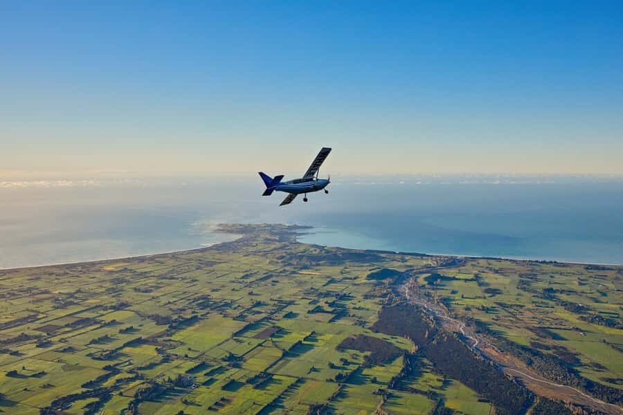 Kaikoura: Whale Watching Flight with Guided Commentary - Key Highlights That Make This Flight Worth It