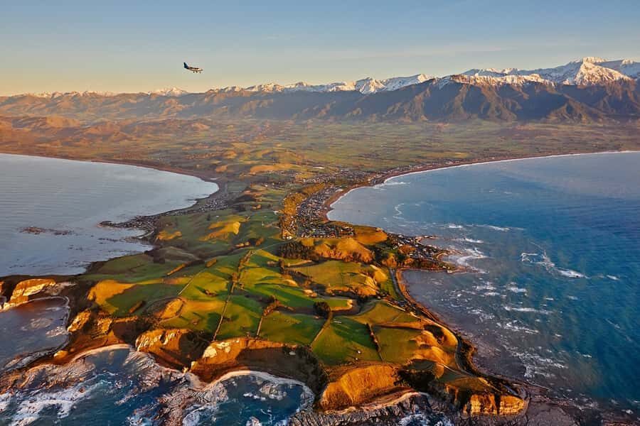 Kaikoura: Whale Watching Flight with Guided Commentary - Cost and Value: Is $164 Worth It?