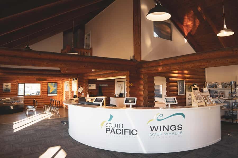 Kaikoura: Whale Watching Flight with Guided Commentary - Should You Book This Kaikōura Whale Watching Flight?