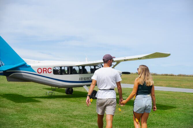 Kaikōura Whale Watching Scenic Flight (40 Minutes) - Check-in and the small-plane setup at Kaikōura