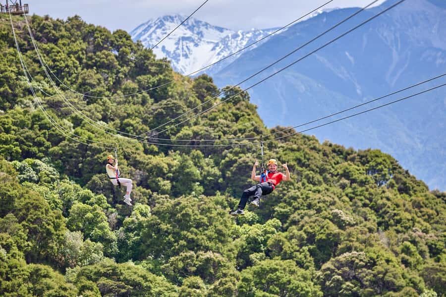 Kaikōura: Zipline and Native Forest Adventure Trip - Kaikōura ziplining over native forest and ocean views