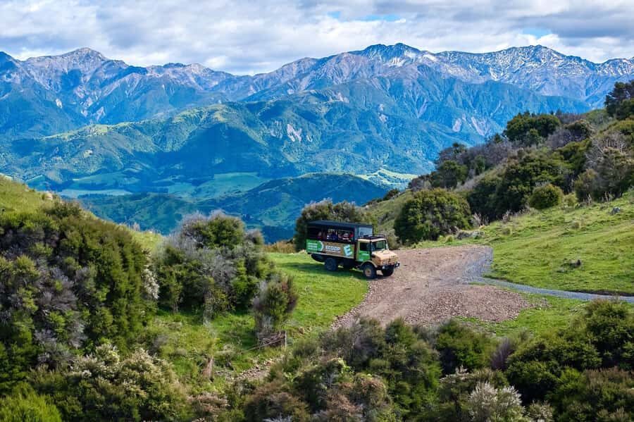 Kaikōura: Zipline and Native Forest Adventure Trip - Rakanui Station by 4x4: valleys, paddocks, and river crossings