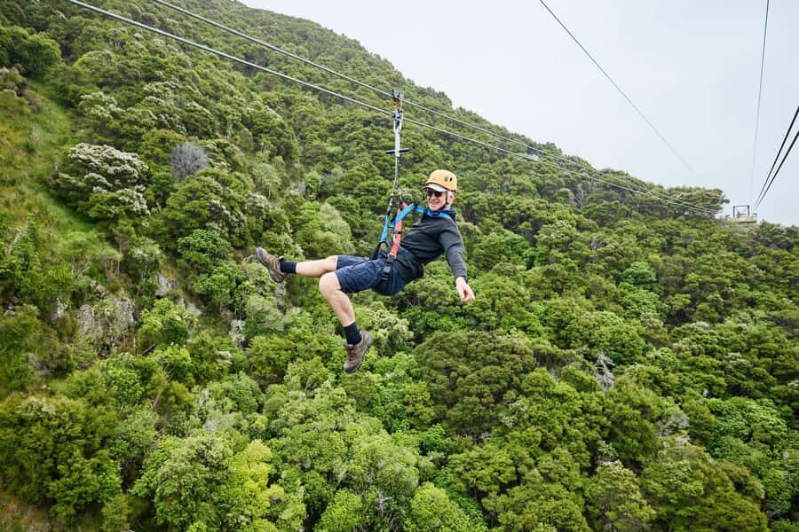 Kaikōura: Zipline and Native Forest Adventure Trip - Your five ziplines: dual flying-fox runs from 250m to 620m
