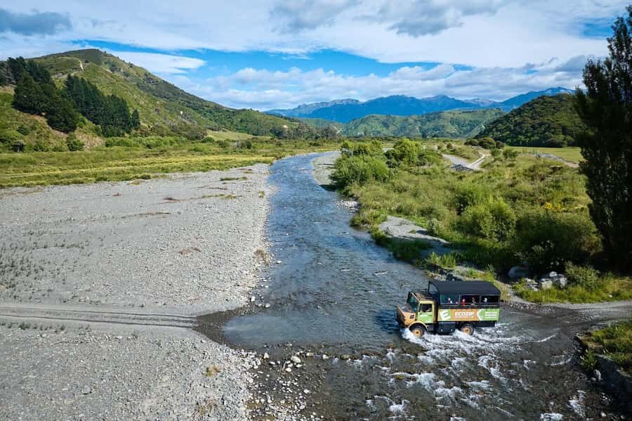 Kaikōura: Zipline and Native Forest Adventure Trip - The guides’ role: plant talk, conservation, and real Kaikōura context