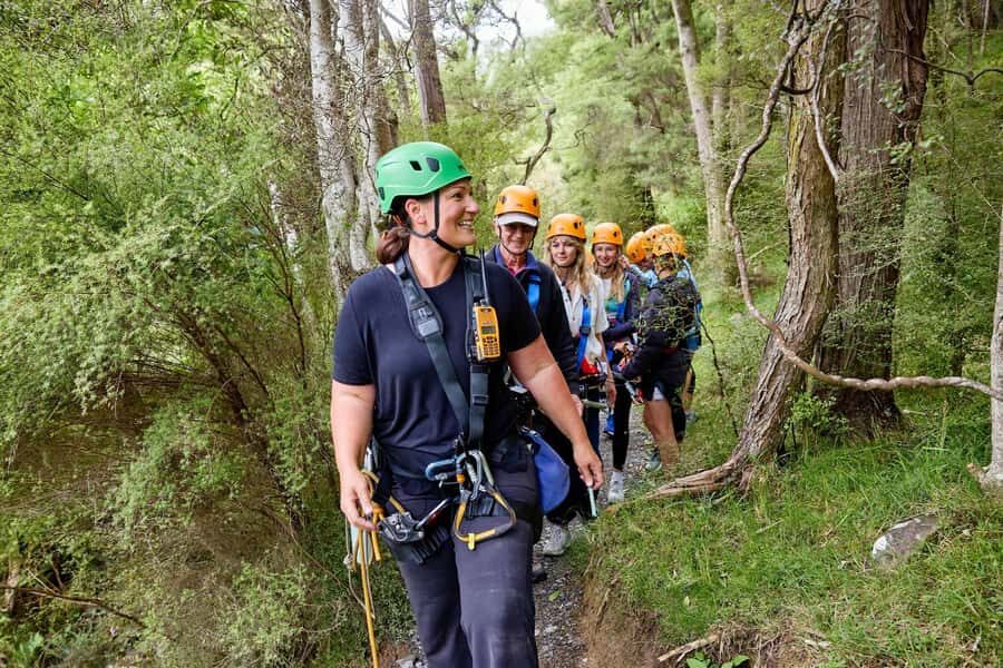 Kaikōura: Zipline and Native Forest Adventure Trip - Gear rules that matter: what to bring and what gets you turned away