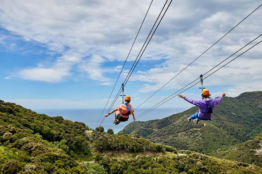 Kaikōura: Zipline and Native Forest Adventure Trip - Getting there: HQ check-in and the drive toward Rakanui Station