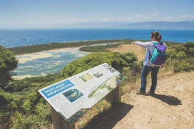 Kapiti Island: Classic Guided Day Tour - The ferry ride and the small-group feel (up to 10 people)