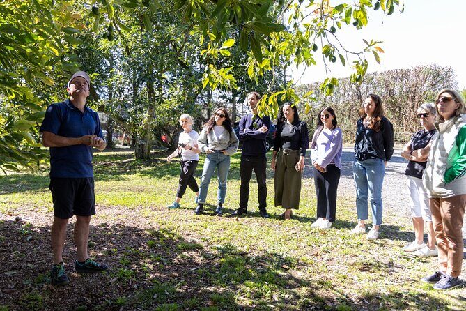 Katikati Avocado Adventure - Why this tour works in real life