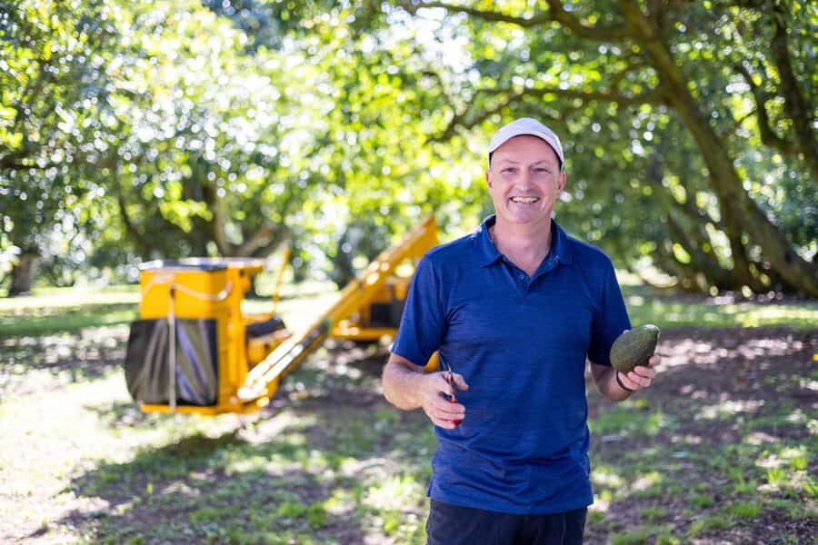 Katikati: Guided Avocado Adventures with Tasty Treats - Where you meet, and how the first part of your 90 minutes flows
