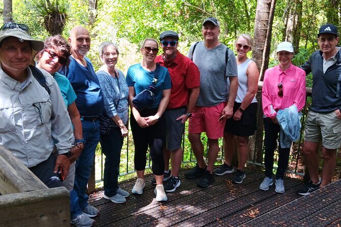 Kawiti Glow Worm Cave Tour & Opua Forest Walk - Who should book the Kawiti Glowworm Cave and Opua Forest Walk?