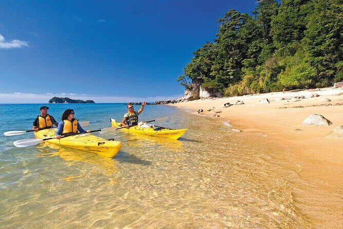 Kayak & Pitt Head Nature Loop - Guided Kayak & Unguided Walk - New Zealand - The guided kayak: what you’ll do and how to prepare