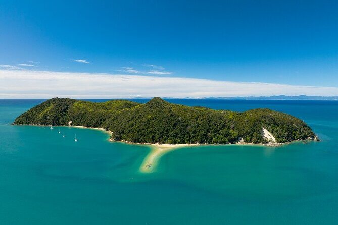 Kayak & Pitt Head Nature Loop - Guided Kayak & Unguided Walk - New Zealand - Water taxi plus timing: how the day stays on track