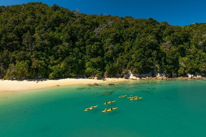 Kayak & Pitt Head Nature Loop - Guided Kayak & Unguided Walk - New Zealand - Price and value: is $164.45 a fair deal?
