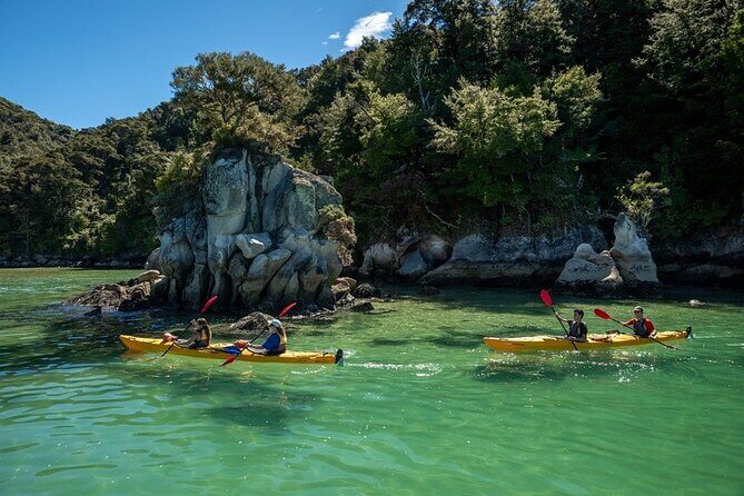 Kayak & Pitt Head Nature Loop - Guided Kayak & Unguided Walk - New Zealand - Who this is best for (and who might rethink it)