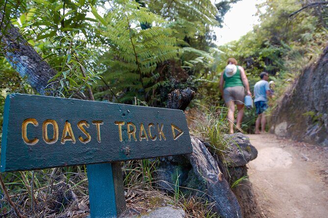 Kayak & Pitt Head Nature Loop - Guided Kayak & Unguided Walk - New Zealand - Should you book this Kayak & Pitt Head Nature Loop?
