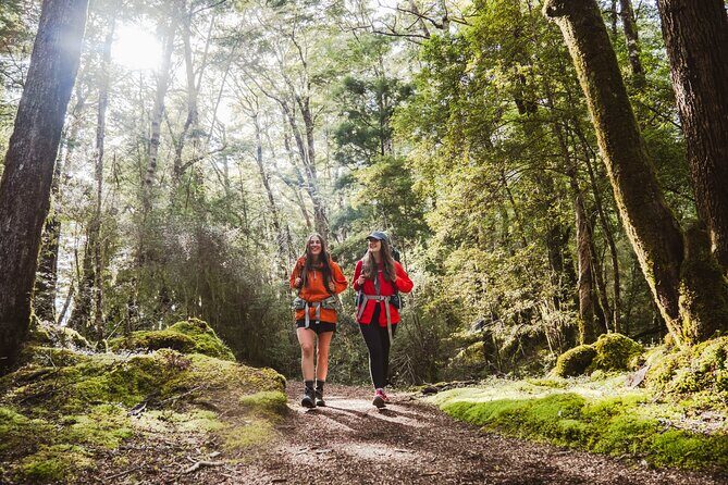Kepler Track Water Taxi - From Te Anau to Brod Bay: the lake ride you’ll actually remember