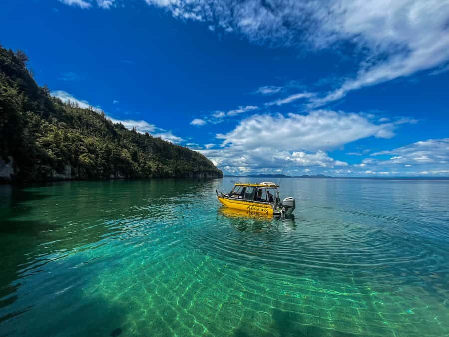 Kinloch: Lake Taupo Catamaran Cruise with Paddleboarding - Key Points You’ll Care About