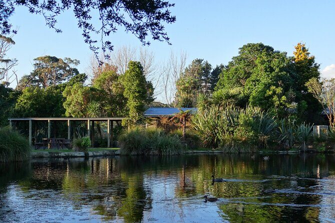 Kiwi Night Encounter at Nga Manu Nature Reserve - Timing matters: double-check the start time in your app