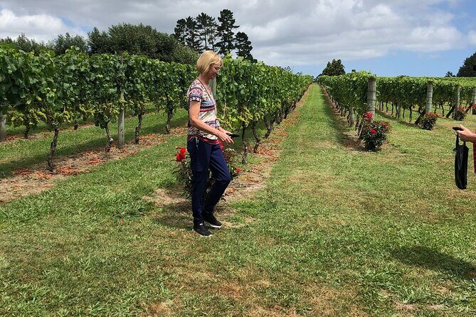 Kumeu Wine Tour - Kumeu wine tour from Auckland: the smart way to do two great stops