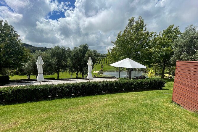 Kumeu Wine Tour - Soljans Estate Winery: family roots and Kumeu Pinot Gris vibes