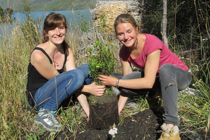 Lake Cruise & Mou Waho Island Nature Walk - Key Points You’ll Care About