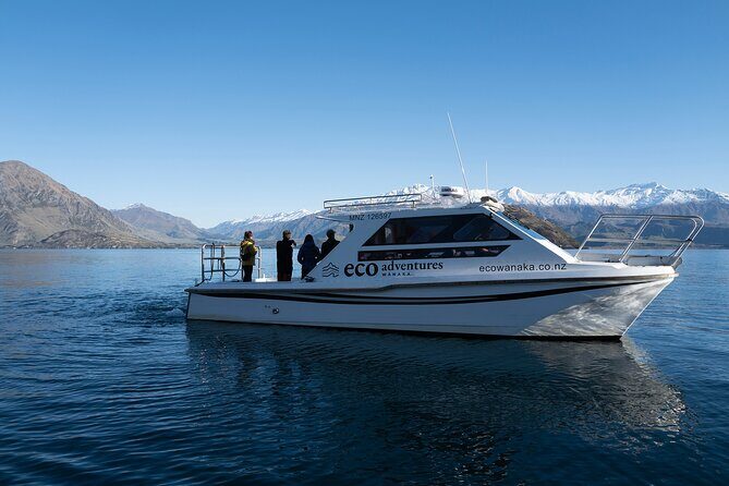 Lake Cruise & Mou Waho Island Nature Walk - Mou Waho and the Buff Weka: Why This Island Matters